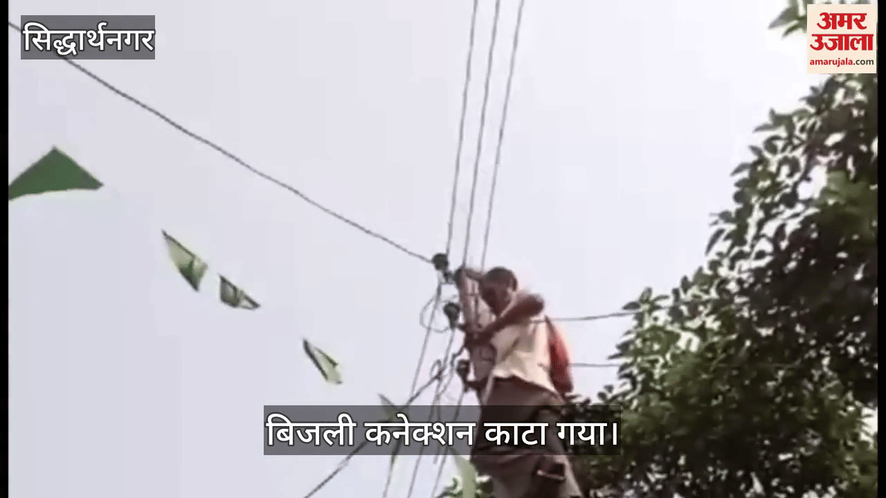 Collection of big defaulters was cut, Rs. 60 thousand was recovered