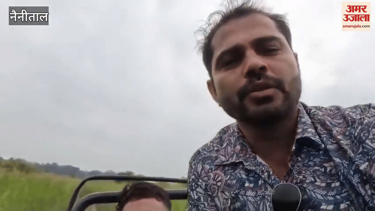 Video of pothole on safari route in Corbett Park goes viral