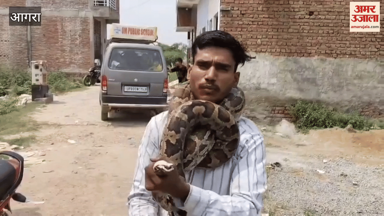 Escape Impossible Once Python Wraps Around You Young Man Reveals Terrifying Truth