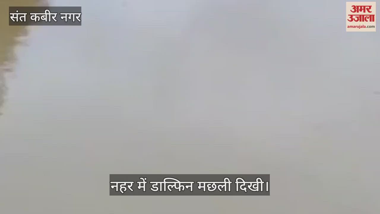 Dolphin fish spotted in Saryu Canal, people gathered to see it.