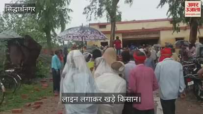 People queue up for urea, waiting even in the rain