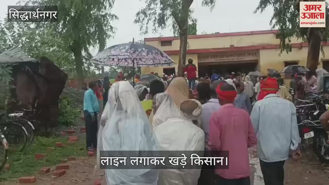 People queue up for urea, waiting even in the rain