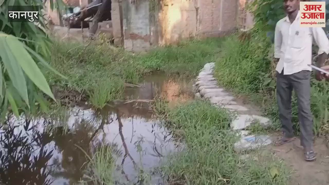Sanitation workers do not come to Dimma Nivada village in the Shivrajpur block, leaving filth everywhere
