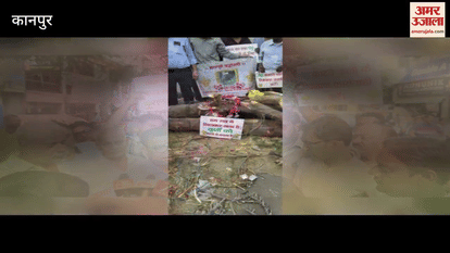 People protested by sitting near the branches of trees cut in the name of pruning
