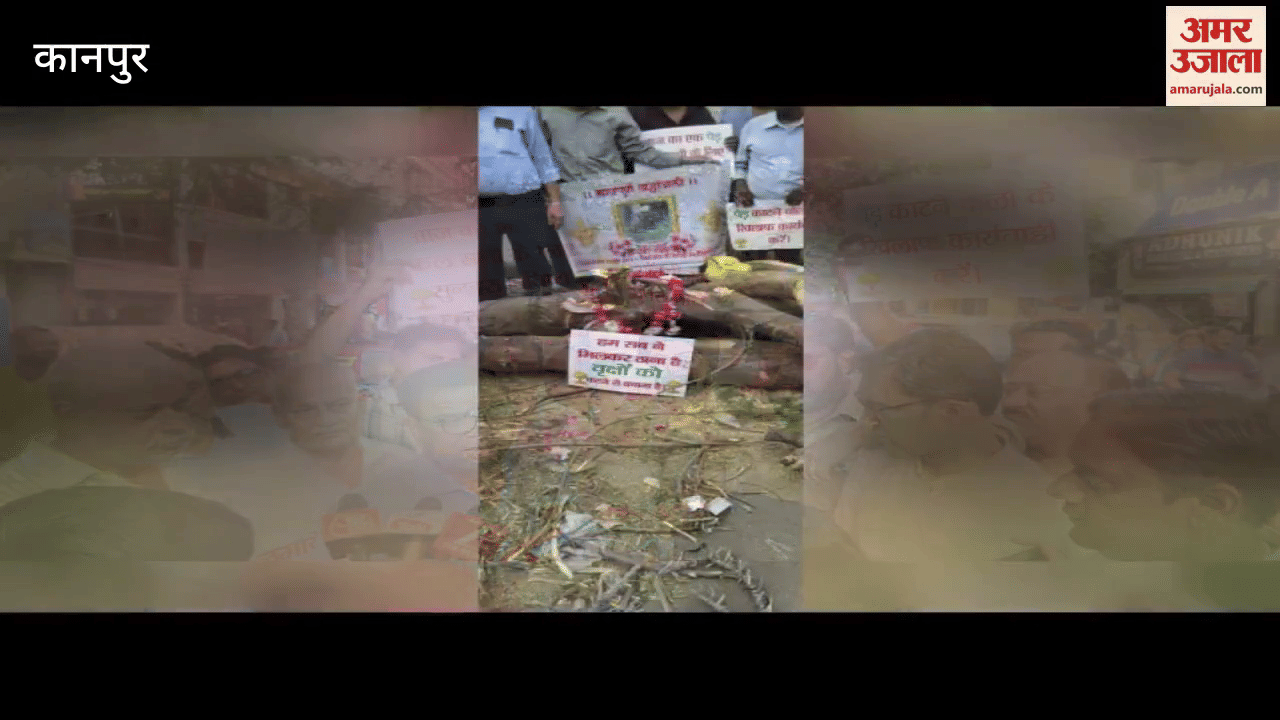 People protested by sitting near the branches of trees cut in the name of pruning