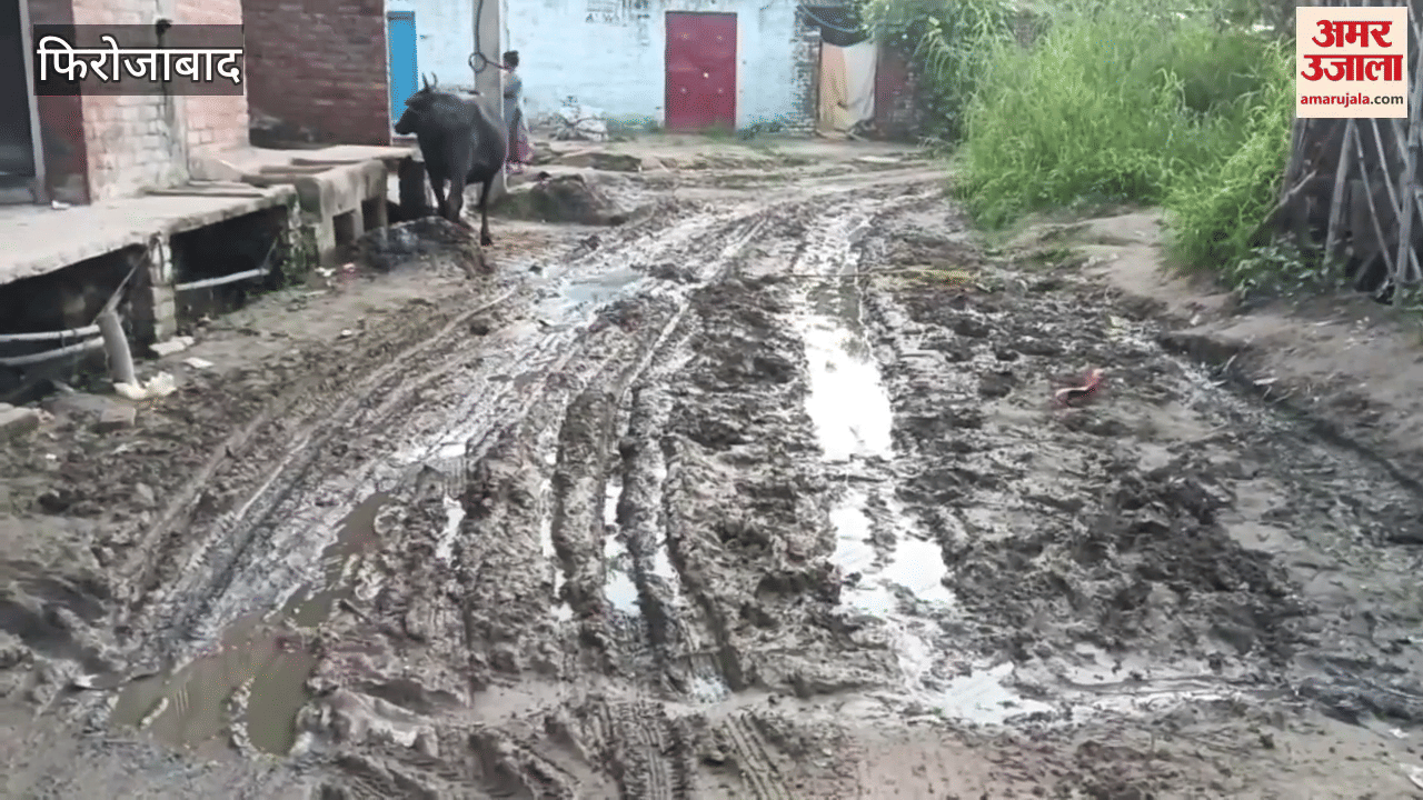 pile of rubbish on road