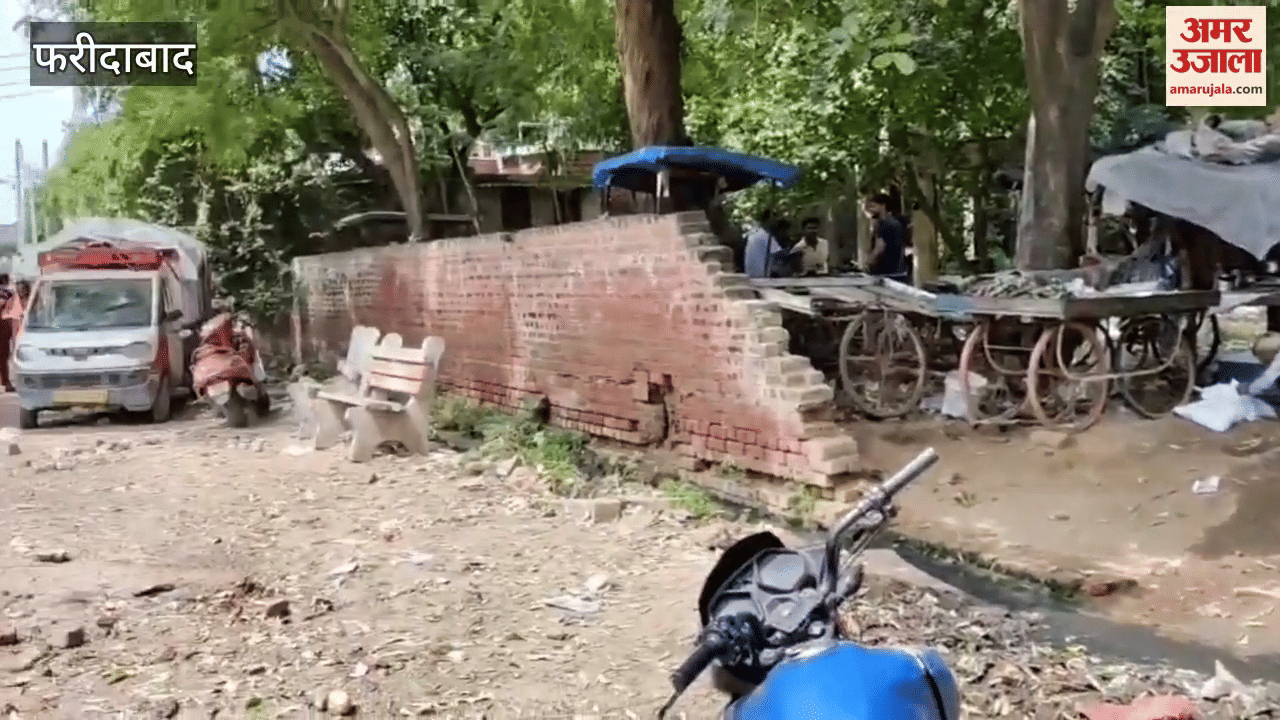 Garbage spread everywhere in Rahul Colony located in NIT 3 of Faridabad city