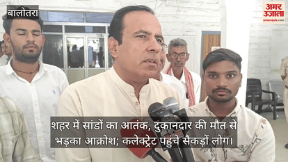 Balotra News: Stray bull kills trader after goring; enraged locals protest at collectorate