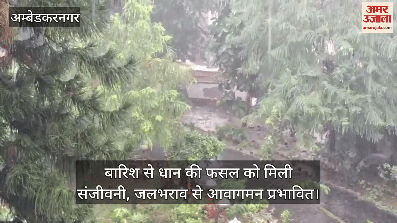 अंबेडकरनगर में बारिश से धान की फसल को मिली संजीवनी, जलभराव से आवागमन प्रभावित