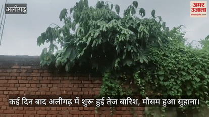 कई दिन बाद अलीगढ़ में शुरू हुई तेज बारिश, मौसम हुआ सुहाना