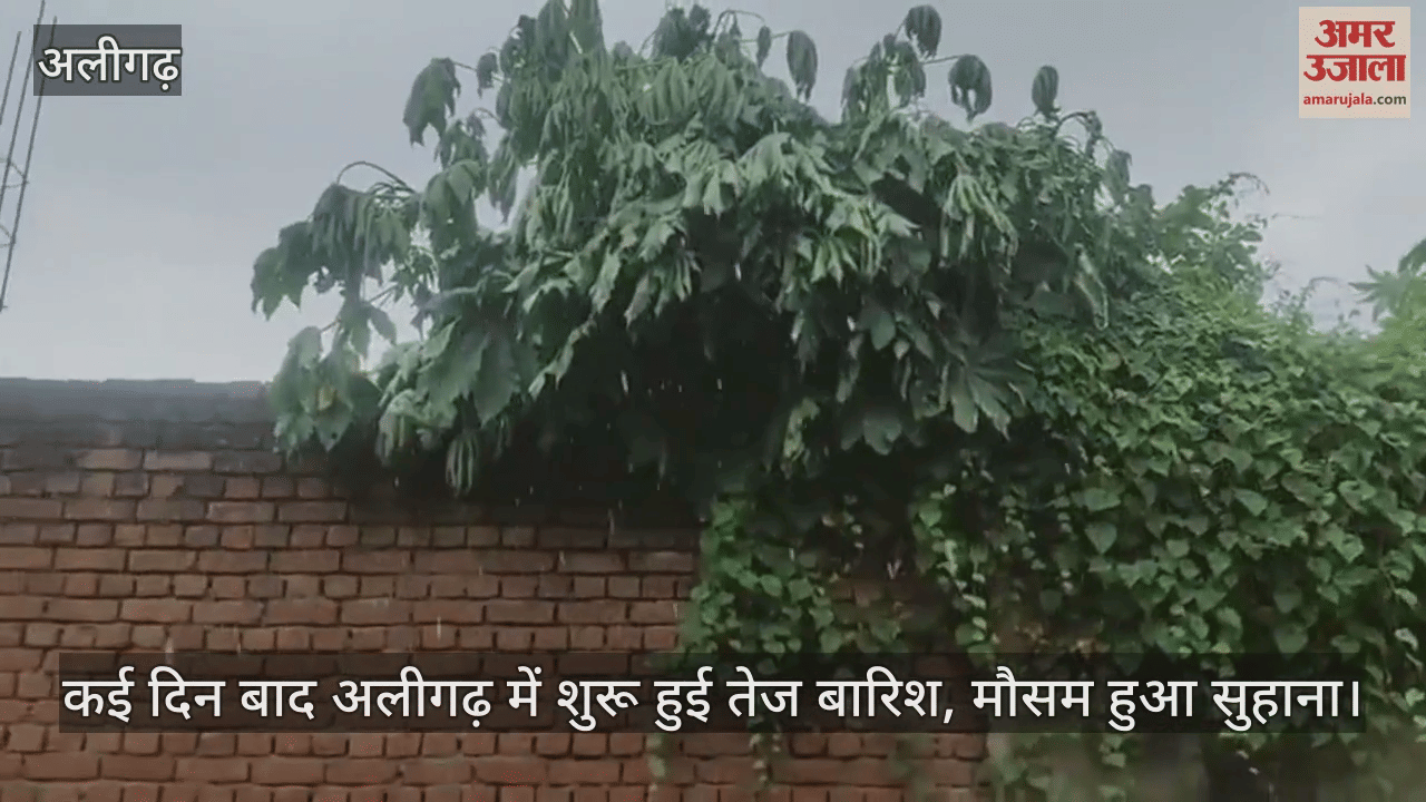 कई दिन बाद अलीगढ़ में शुरू हुई तेज बारिश, मौसम हुआ सुहाना