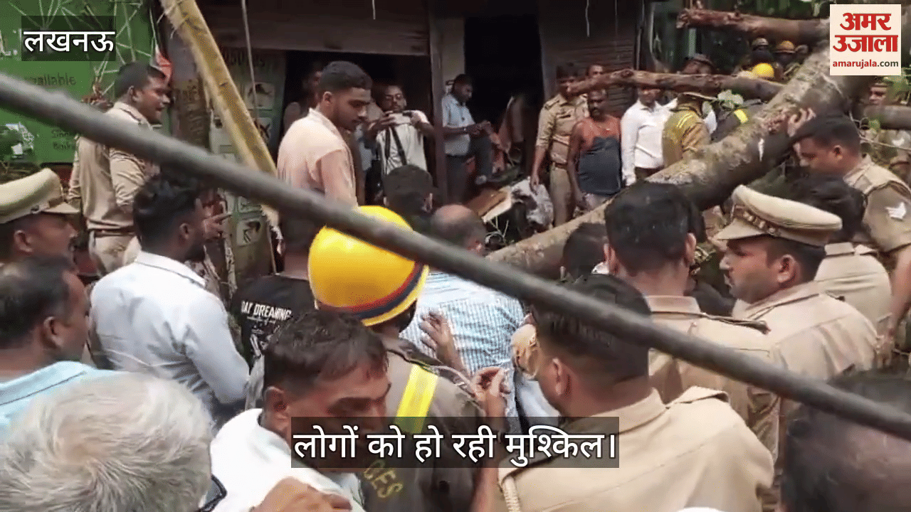 VIDEO: कैसरबाग के मछली मंडी के पास गिरा पेड़, लोगों को हो रही मुश्किल
