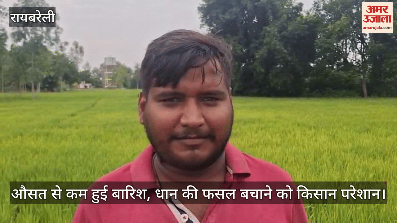 रायबरेली में औसत से कम हुई बारिश, धान की फसल बचाने को किसान परेशान