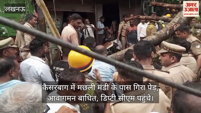 VIDEO : कैसरबाग में मछली मंडी के पास गिरा पेड़, आवागमन बाधित, डिप्टी सीएम पहुंचे