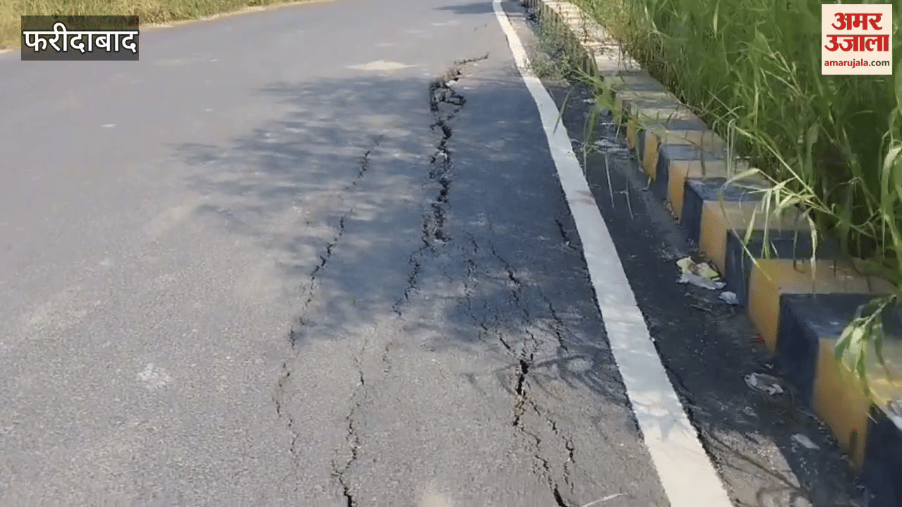 Faridabad: approach road built along bridge on Agra Canal near Shahpur Kalan collapsed