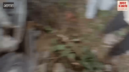 High speed car lost control and hit tree four people seriously injured