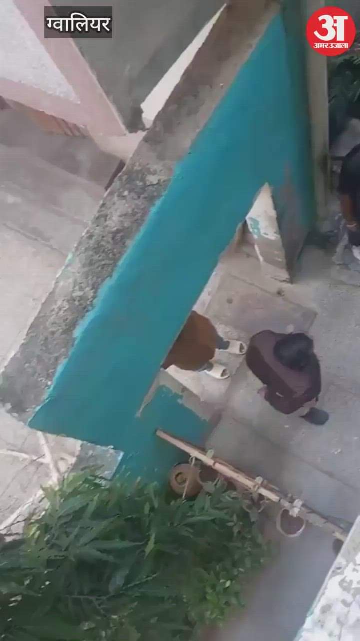 Gwalior News: Big Boss fame Tanya Mittal's brother accused of threatening social media influencer