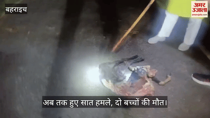 VIDEO: फखरपुर में भेड़ियों का आतंक, बकरी का किया शिकार, ग्रामीणों में दहशत