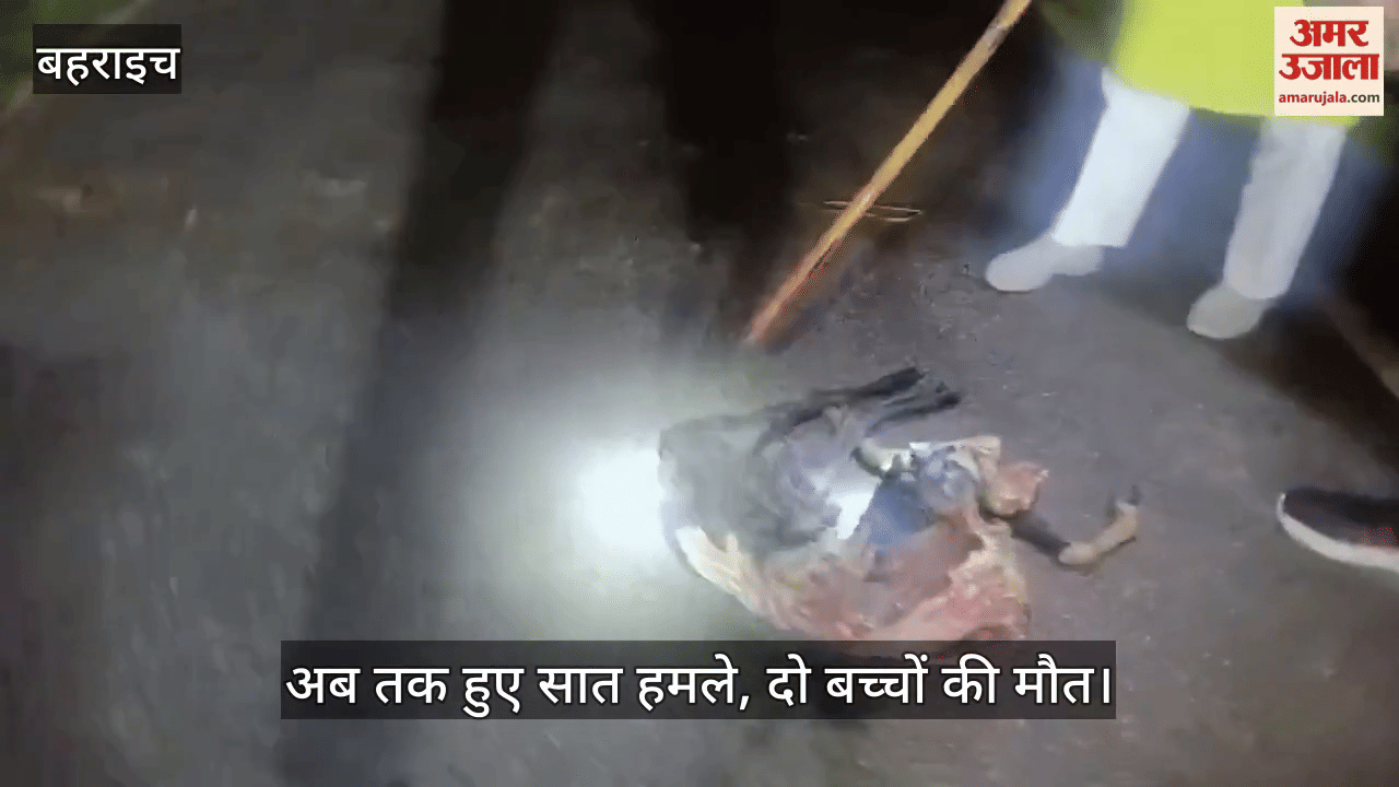 VIDEO: फखरपुर में भेड़ियों का आतंक, बकरी का किया शिकार, ग्रामीणों में दहशत