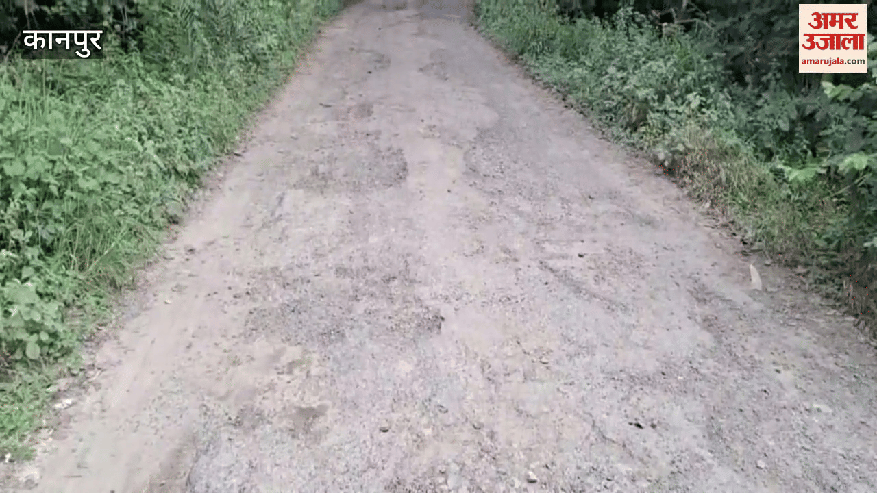 Ballast and asphalt missing from 10 year old road, difficult to walk on