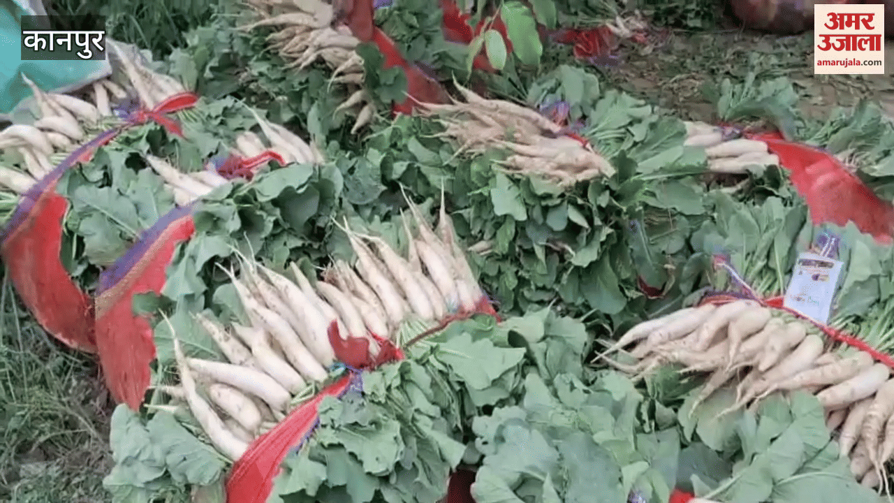 Radish crop ready in one month, farmers earning huge profits in Birhar