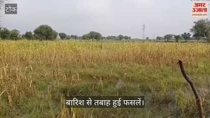 Tonk News: Heavy rains devastate Kharif crops, farmers face huge losses, now pin hopes on Rabi sowing