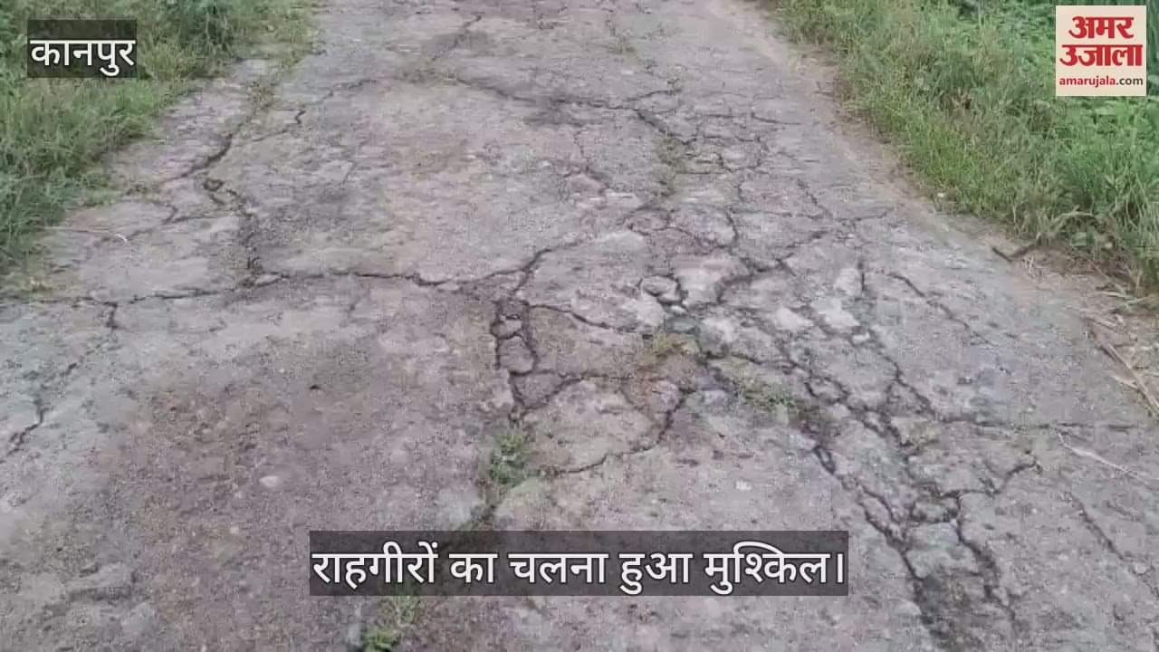 कानपुर के भीतरगांव में बारीगांव पुरवा की टूटकर उखड़ रही सीसीरोड