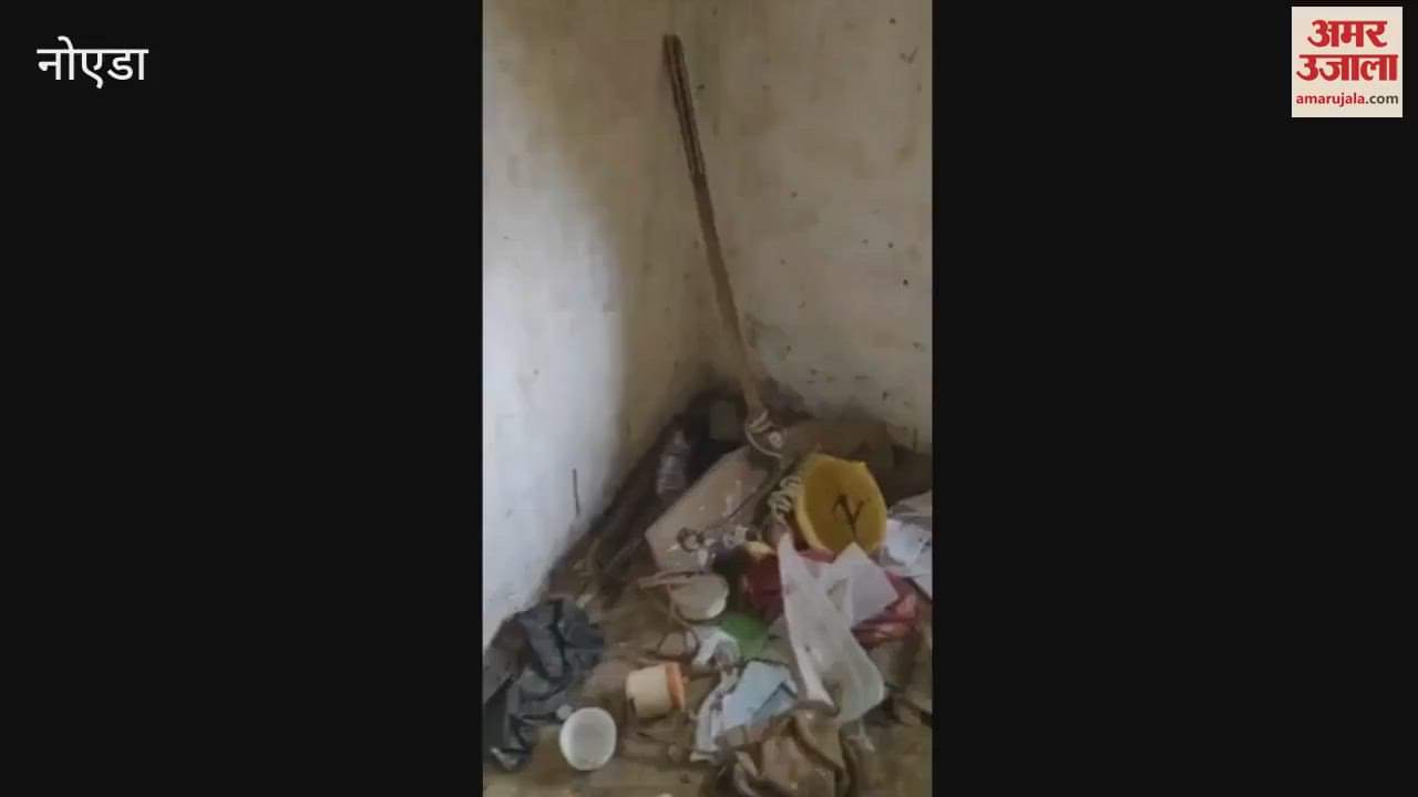 cobra found near farmers protest site in rabupura greater noida