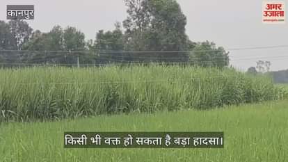 कानपुर: गन्ने के खेतों पर झूलते हाईटेंशन तार, ग्रामीणों ने की तत्काल कार्रवाई की मांग