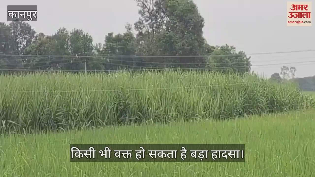 कानपुर: गन्ने के खेतों पर झूलते हाईटेंशन तार, ग्रामीणों ने की तत्काल कार्रवाई की मांग