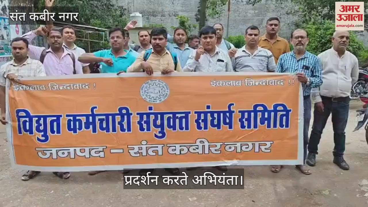 Electricity workers protested against privatization