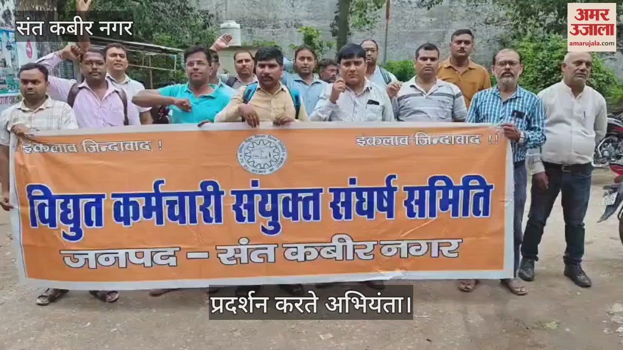 Electricity workers protested against privatization