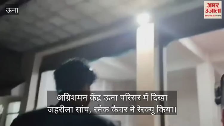 Sony Cid Shreya Ka Shaitaan Rajasthan Royals Kings 11 Punjab