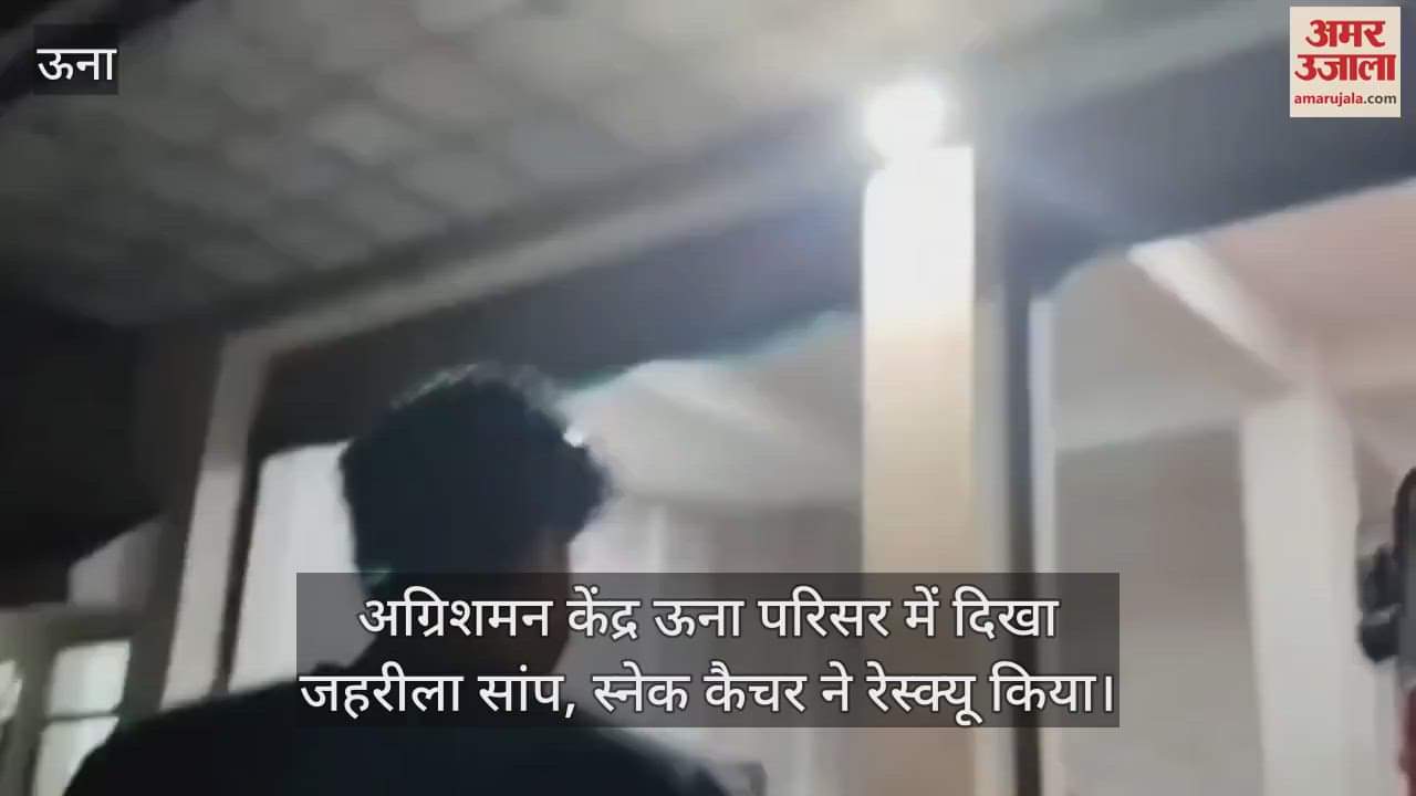 poisonous snake was spotted at the Una Fire Station premises and was rescued by a snake catcher.