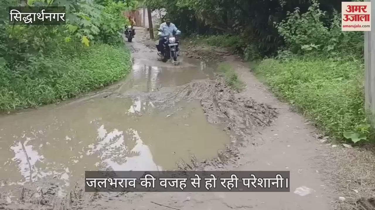 Waterlogging on the main road created problems for the people.