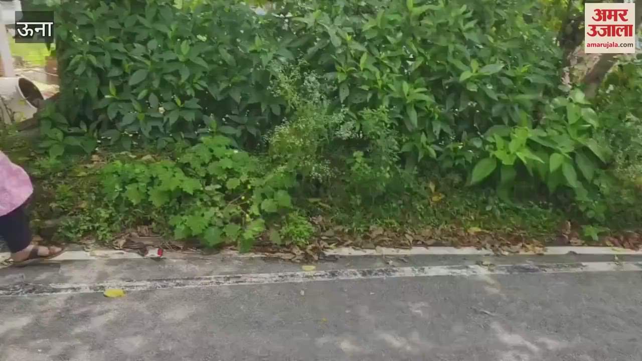 Una Students of Chintpurni College organised a drug de-addiction awareness rally with the Red Cross Society