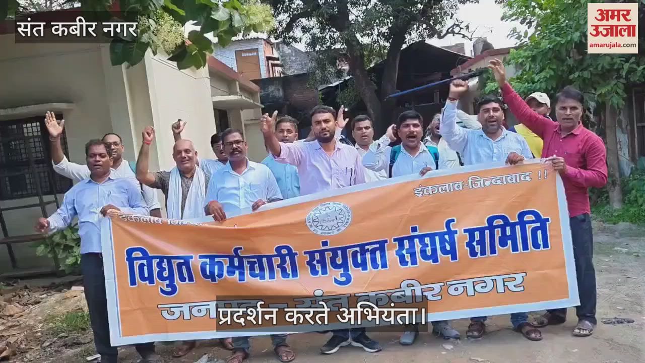 Electricity workers staged a sit-in protest against privatisation.