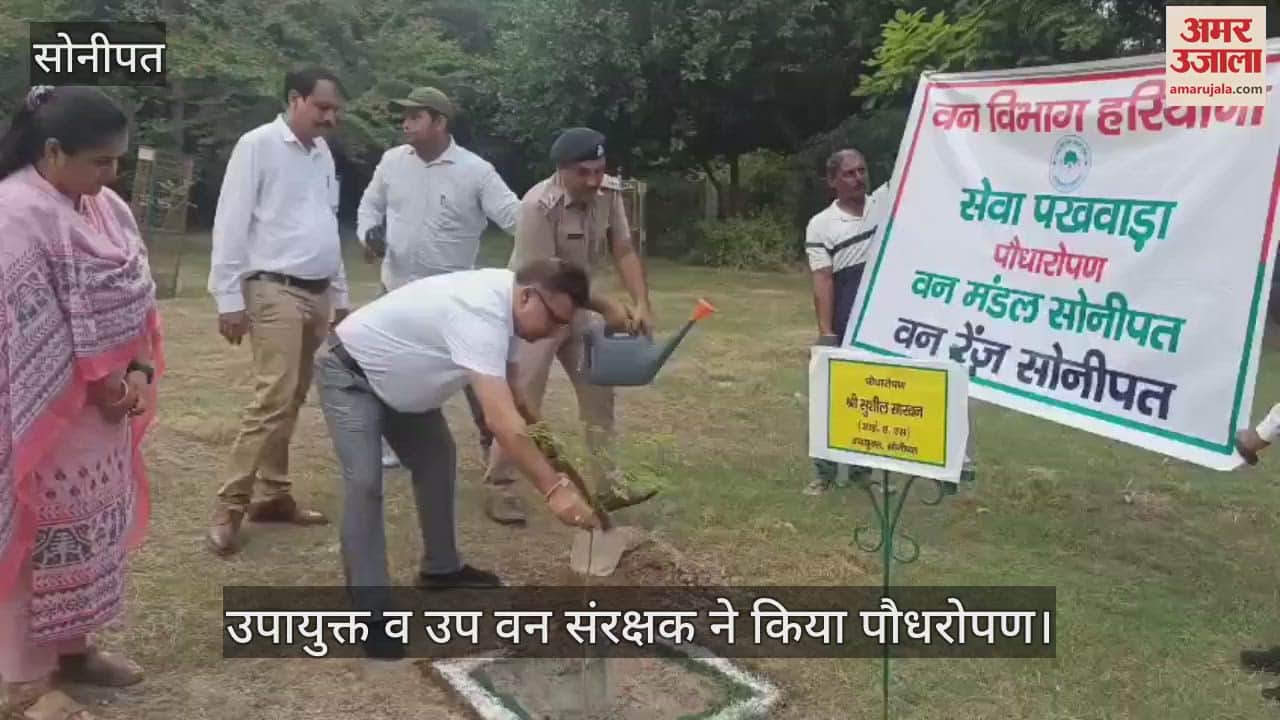 Plantation in Sonipat