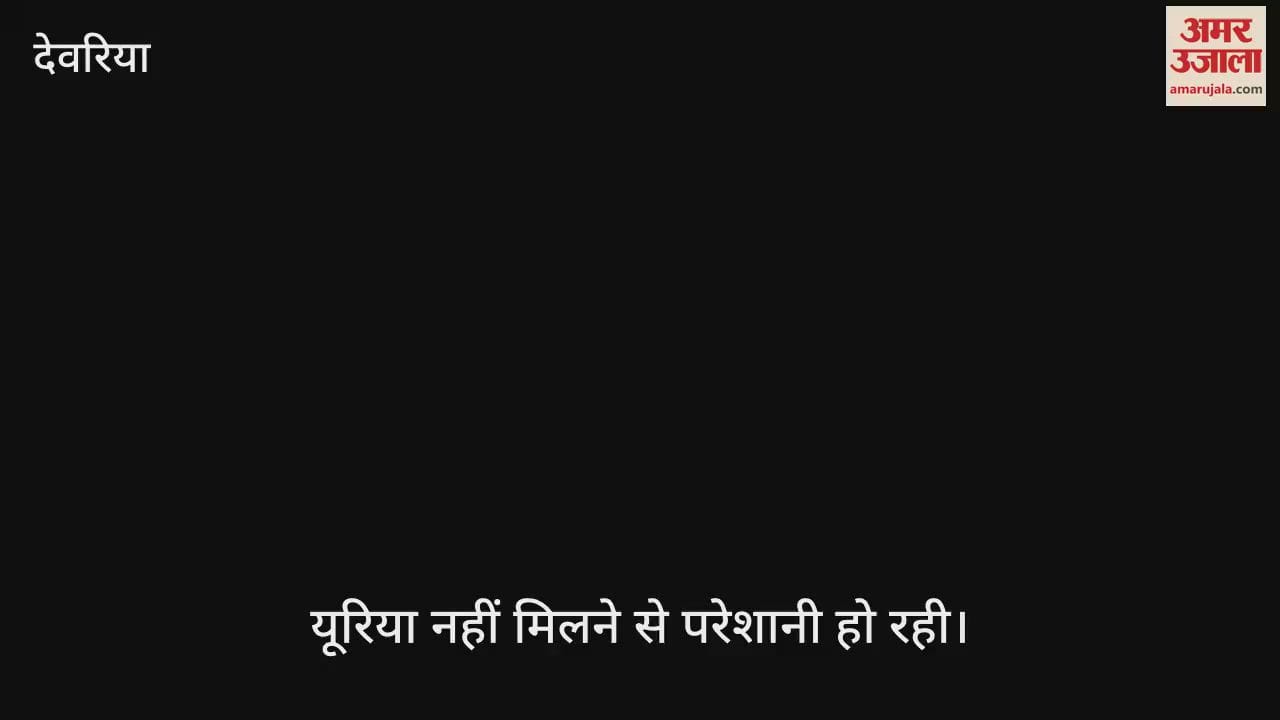 Urea is missing from committees and markets, causing panic among farmers