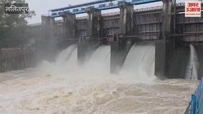 Lalitpur: Rain raises dam levels, water released from Rajghat... Matatila and Shahzad