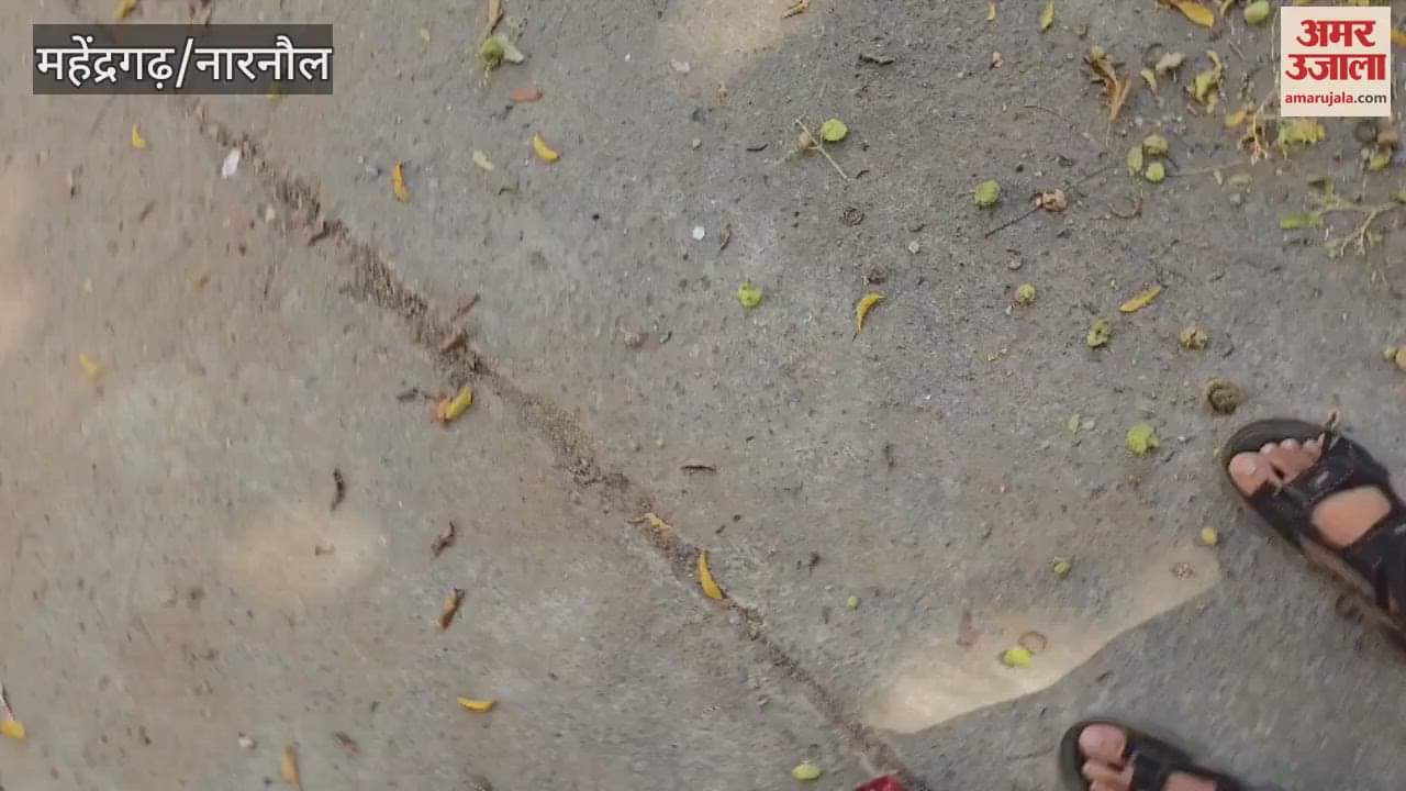 A campaign launched in Govt College regarding drug de-addiction and road safety awareness