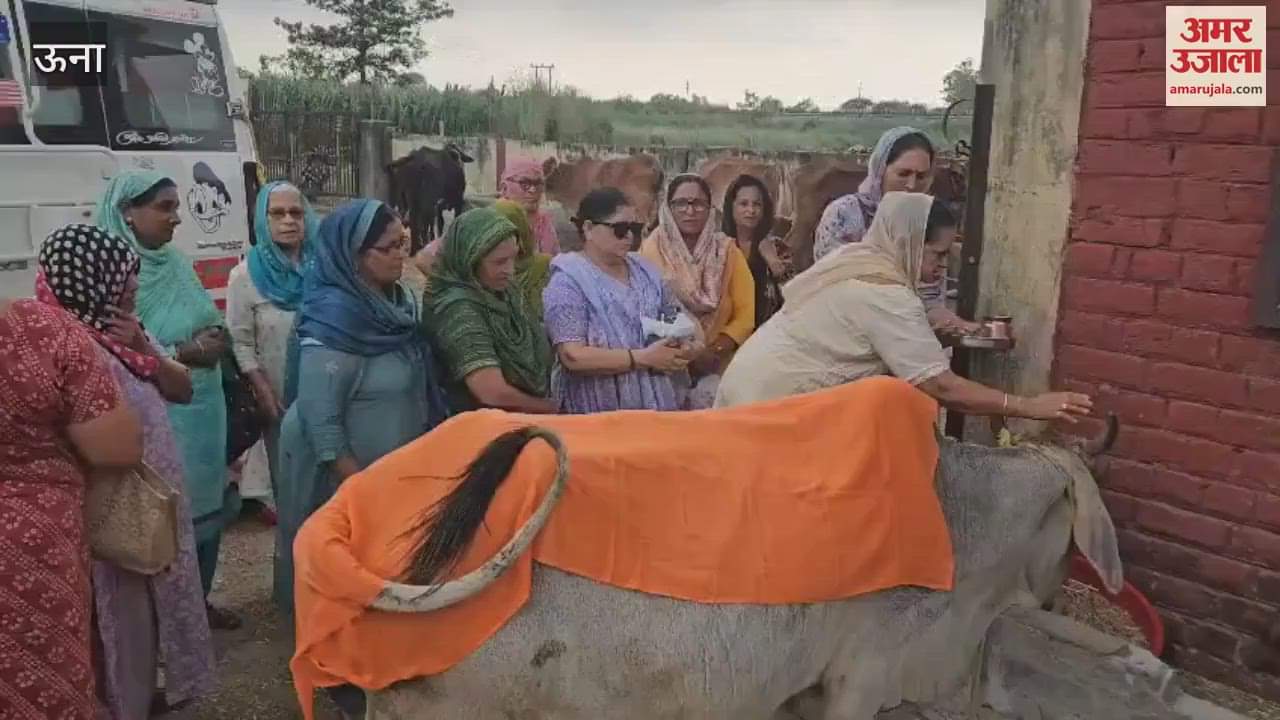 Una Women served husk and bran journalist Sparsh Sharma increased the enthusiasm