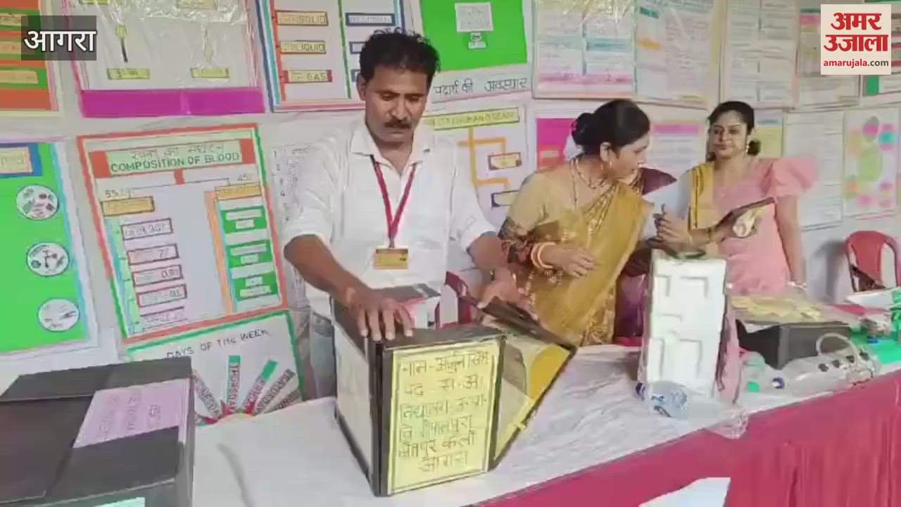 Complete knowledge in one box see what the teacher created