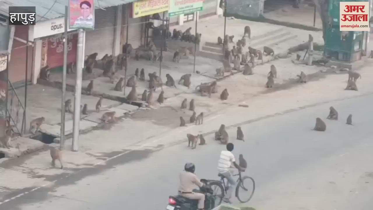 Fire broke out in the power line, electricity was disrupted for two hours