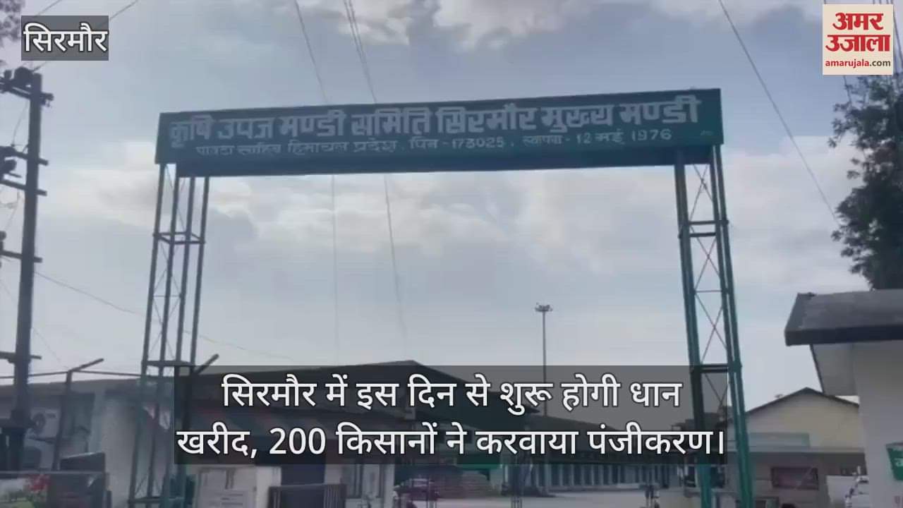 Paddy procurement to begin in Sirmaur on this day, 200 farmers registered