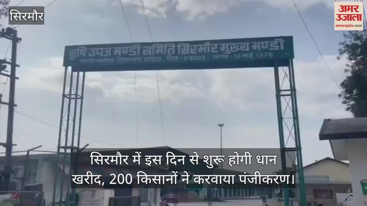 Paddy procurement to begin in Sirmaur on this day, 200 farmers registered