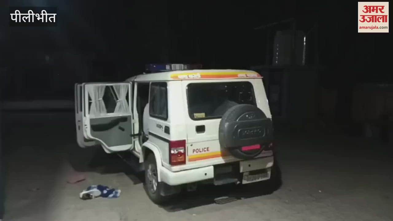 groom cousin died due to Bike collided with tree in Pilibhit