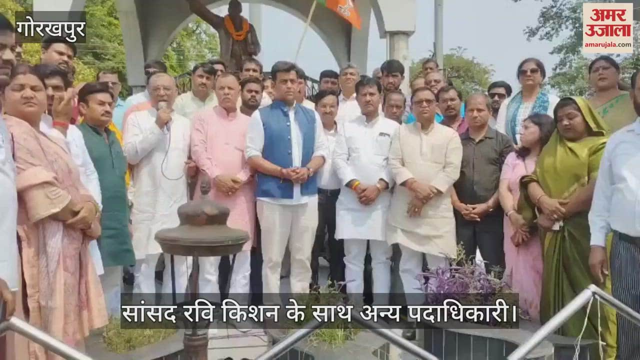 Sadar MP protested against tampering with Baba Saheb's picture