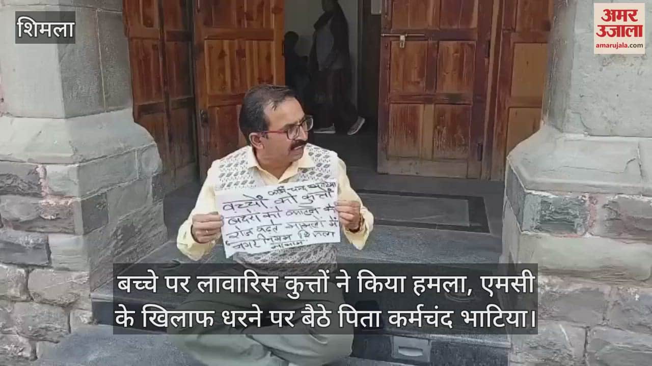 Child attacked by stray dogs, father Karm Chand Bhatia sits on dharna against MC