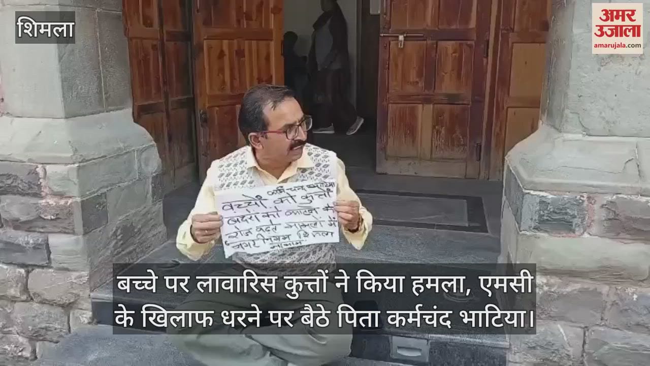 Child attacked by stray dogs, father Karm Chand Bhatia sits on dharna against MC